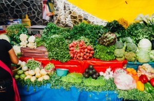 20140913-Tepoztlan-48